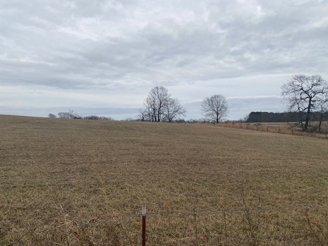 280 Red Hill-Center Road Lawrenceburg, TN 38464 - Photo 5 of 23 Gallery Image 5