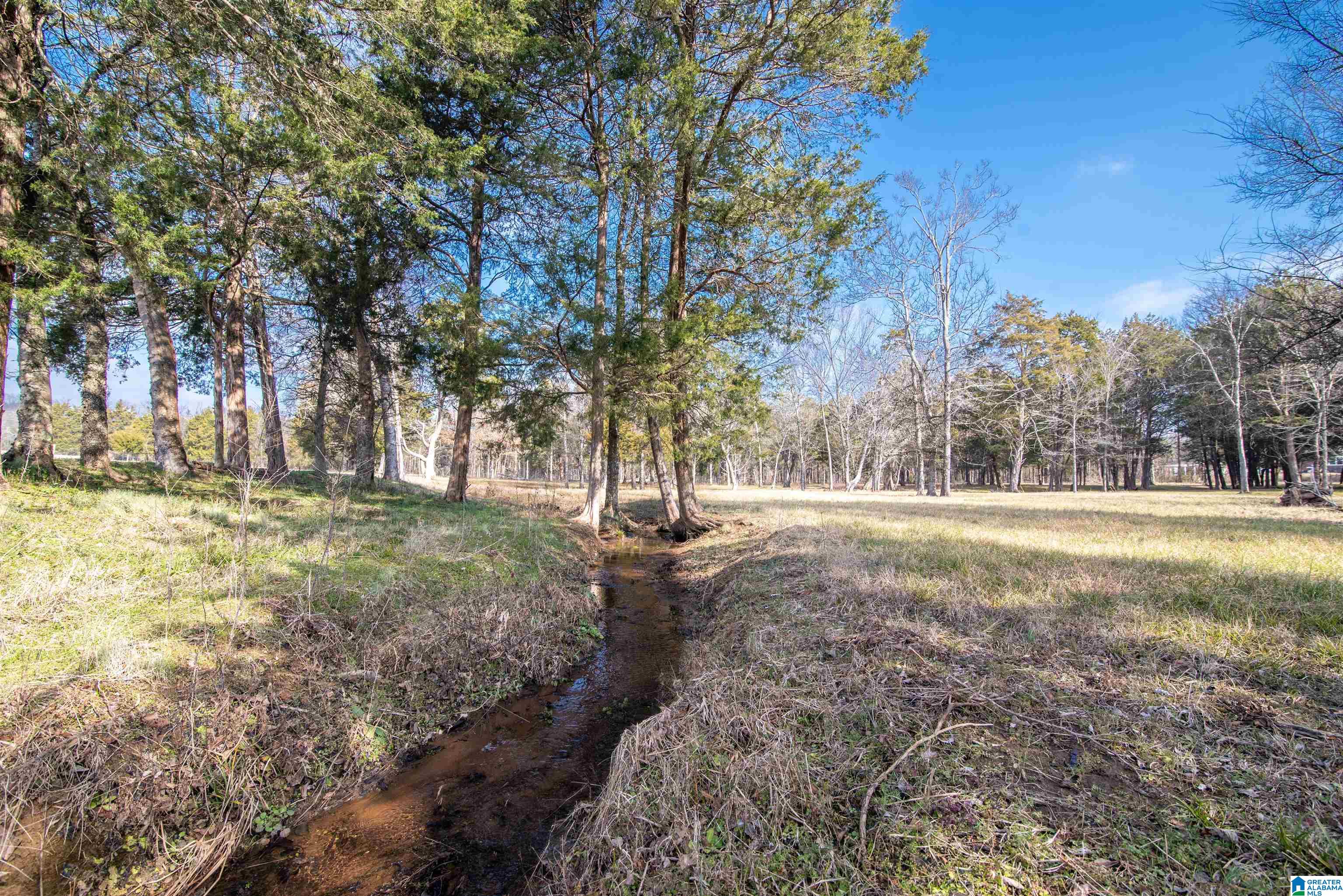 0 Day Drive, Unit 10 Somerville, AL 35670 - Photo 13 of 16