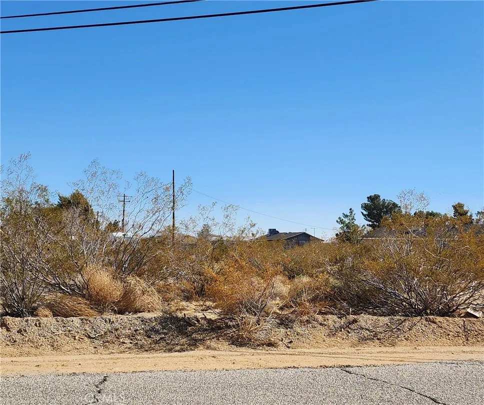 501 Sharon Lucerne Valley Arcadia, CA 91007 - Photo 10 of 10