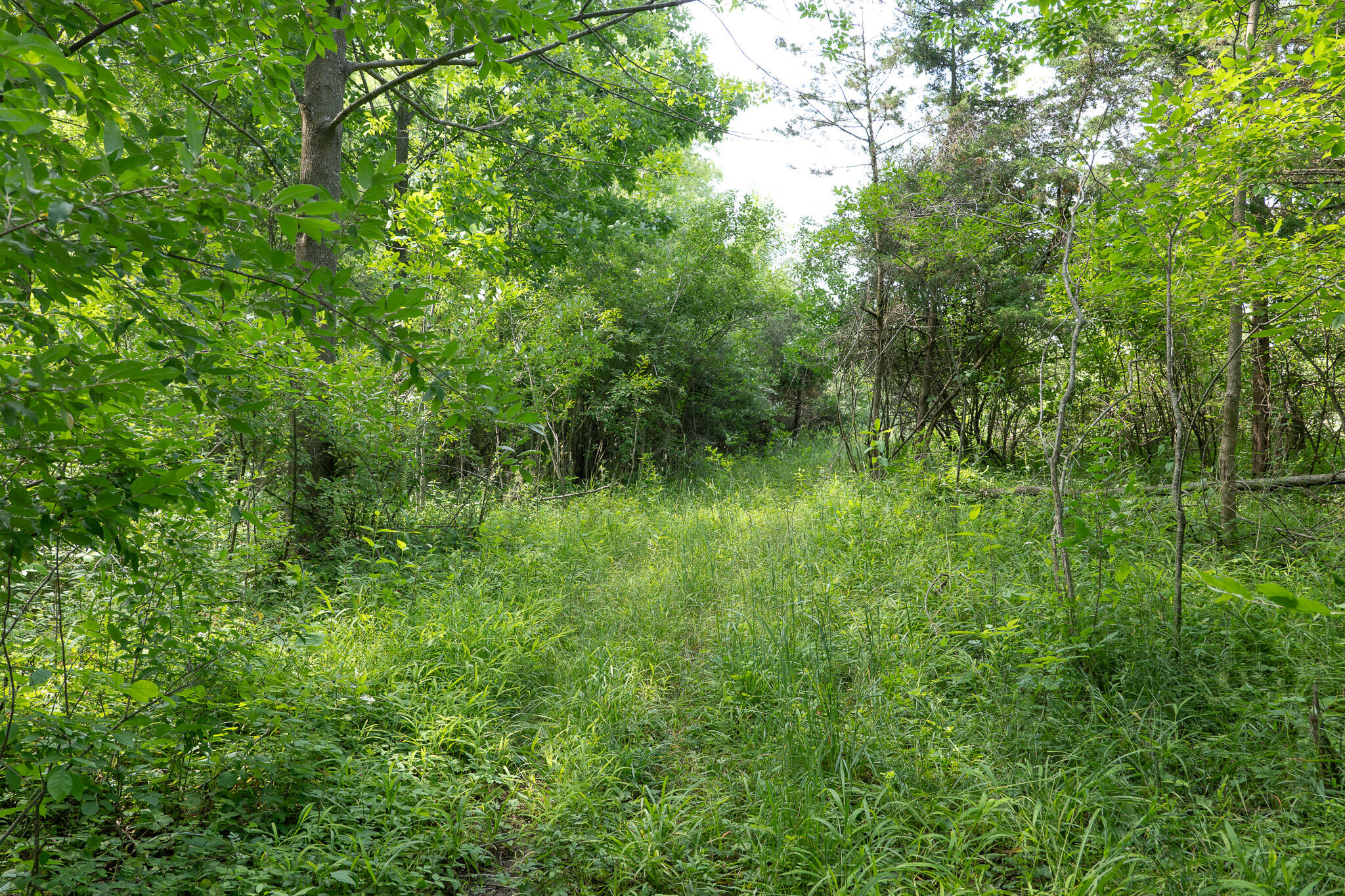3282 Jerome Road North North Adams, MI 49262 - Photo 18 of 34 P1067852