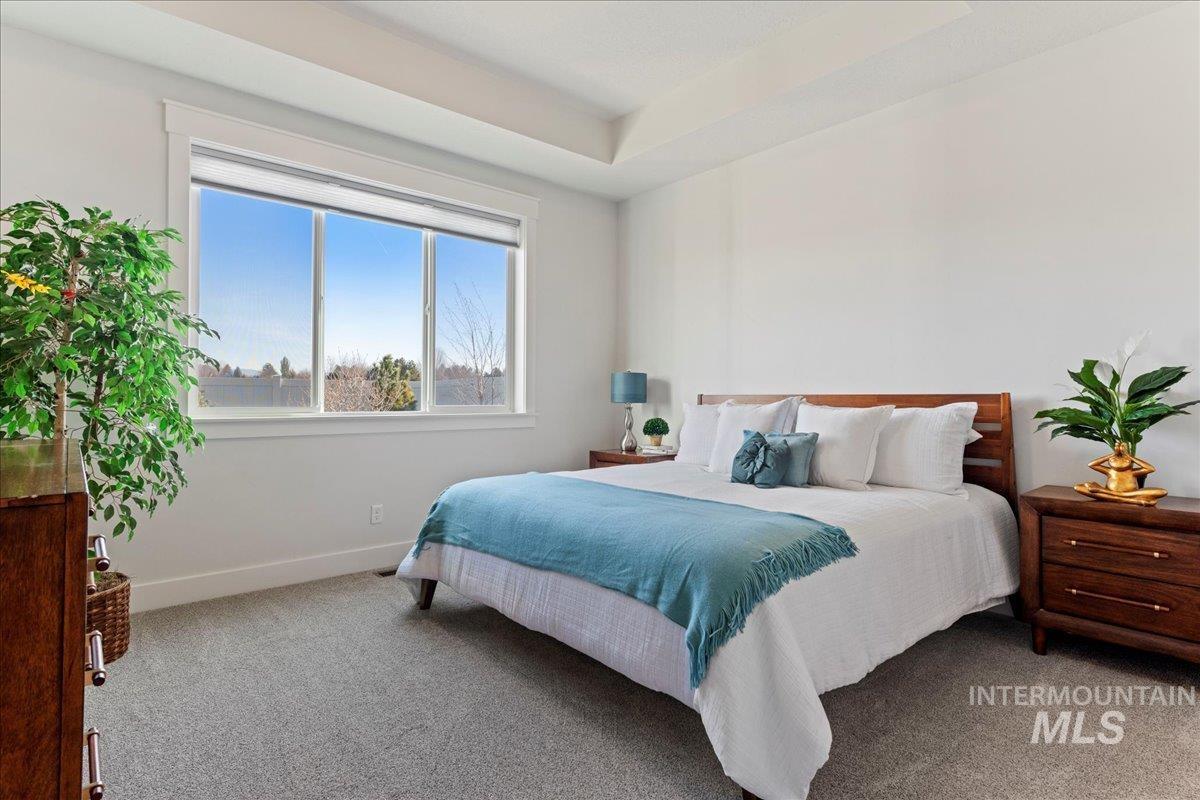 280 North Boulder Rdg Way Eagle, ID 83616 - Photo 26 of 50 Carpeted bedroom with baseboards and a tray ceiling