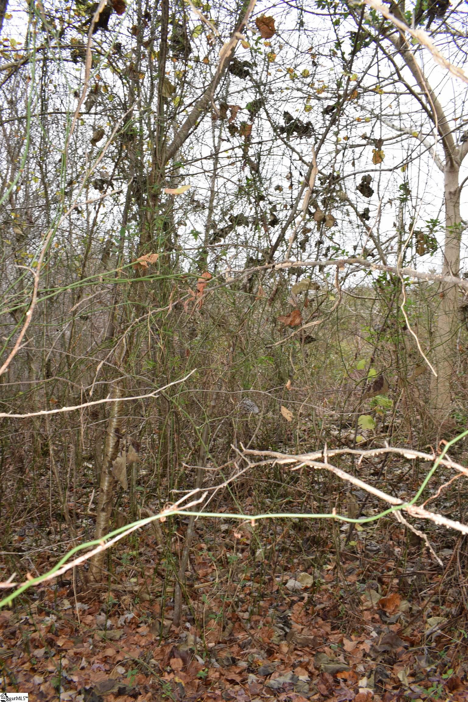 Goforth Road Landrum, SC 29356 - Photo 4 of 12