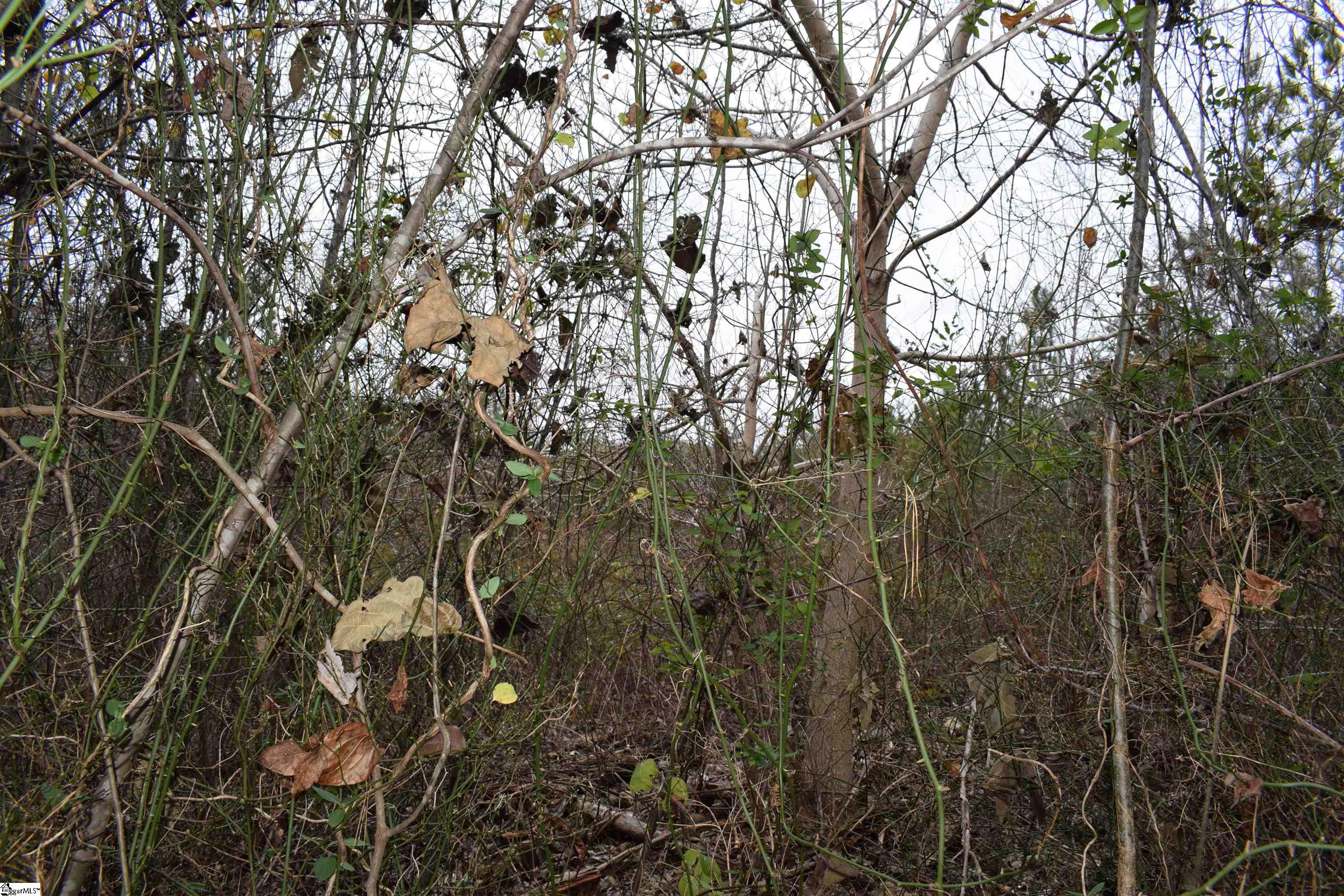 Goforth Road Landrum, SC 29356 - Photo 5 of 12