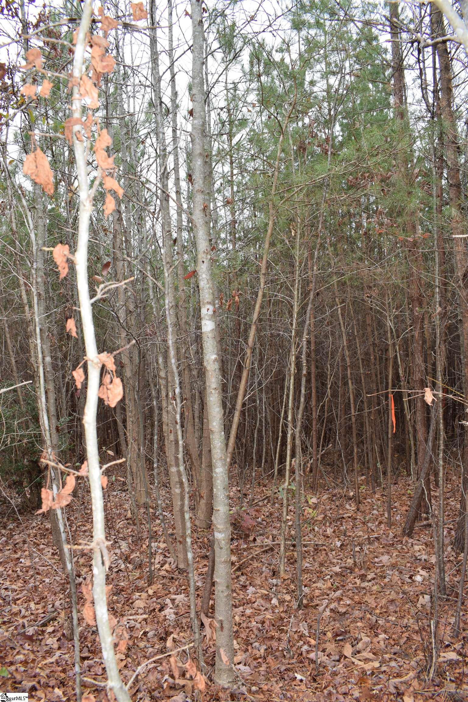 Goforth Road Landrum, SC 29356 - Photo 6 of 12