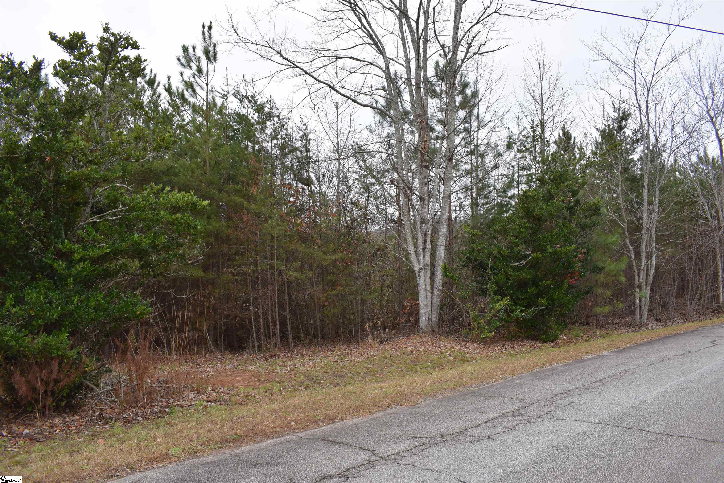 Goforth Road Landrum, SC 29356 - Photo 7 of 12