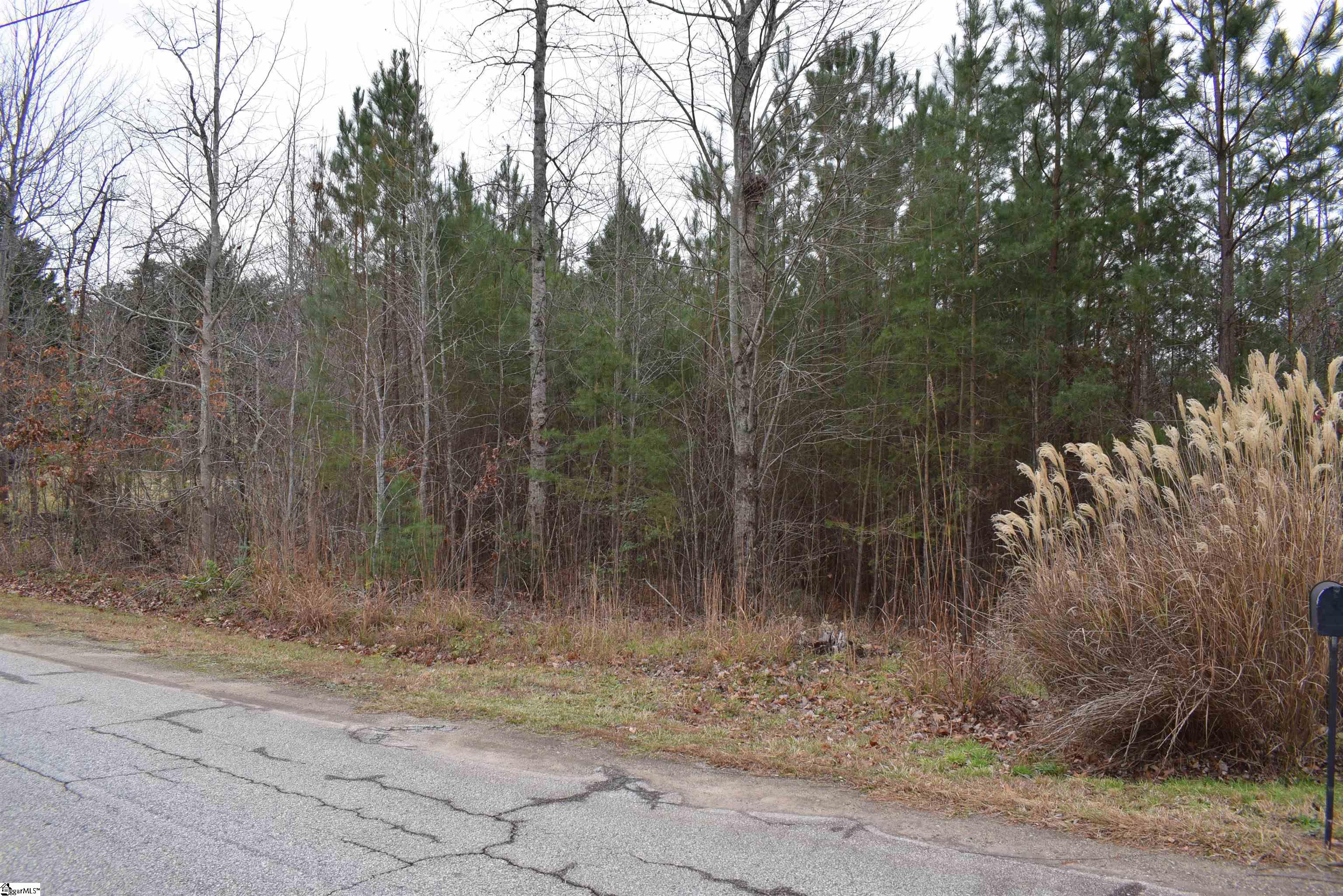 Goforth Road Landrum, SC 29356 - Photo 8 of 12