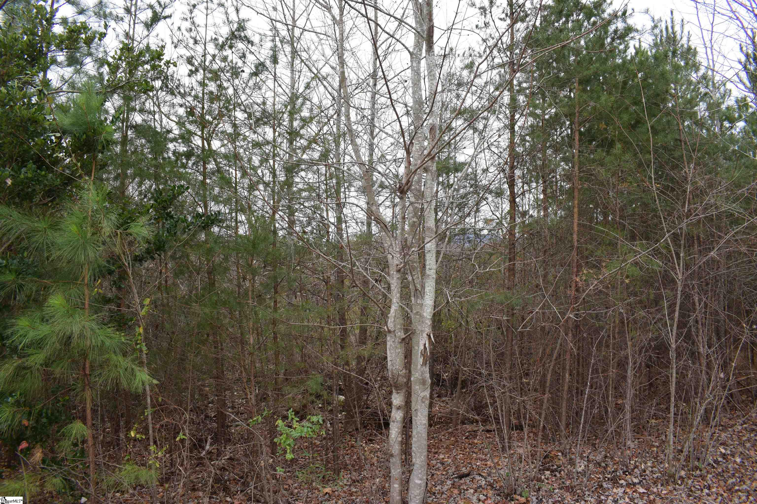 Goforth Road Landrum, SC 29356 - Photo 9 of 12