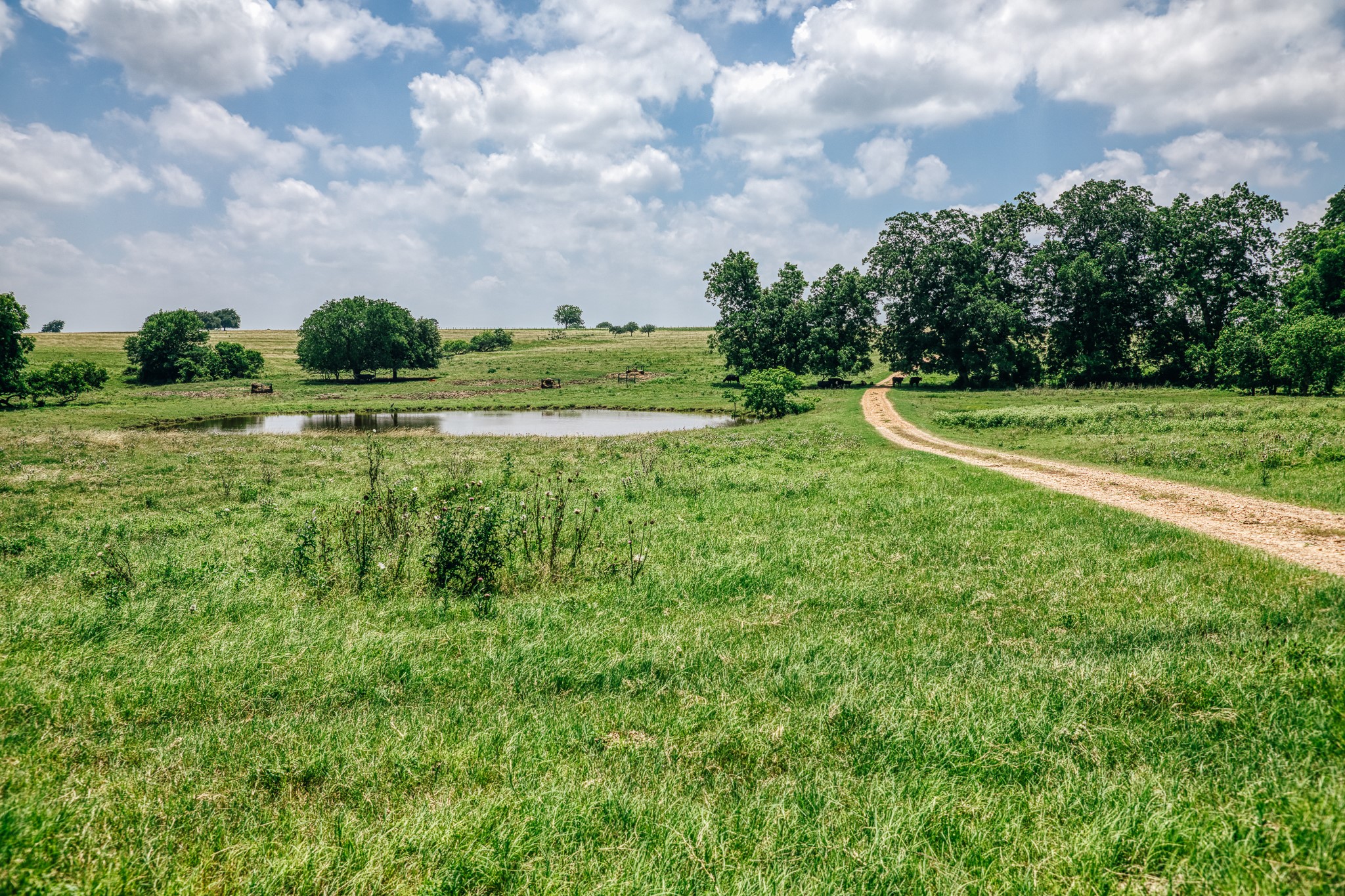 14808 Whitman Road Washington, TX 77880 - Photo 30 of 30