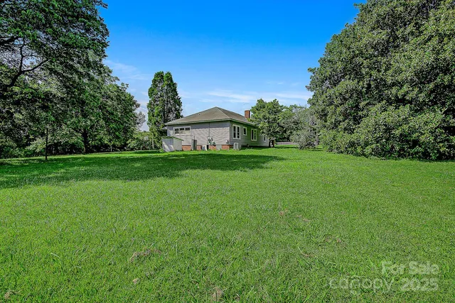 a view of a big yard with plants and large trees
