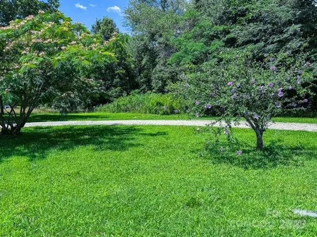 a view of a grassy field with trees