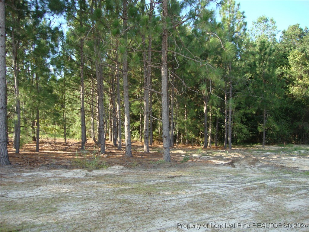 801 Doc Brown Road Raeford, NC 28376 - Photo 6 of 30 Gallery Image 6