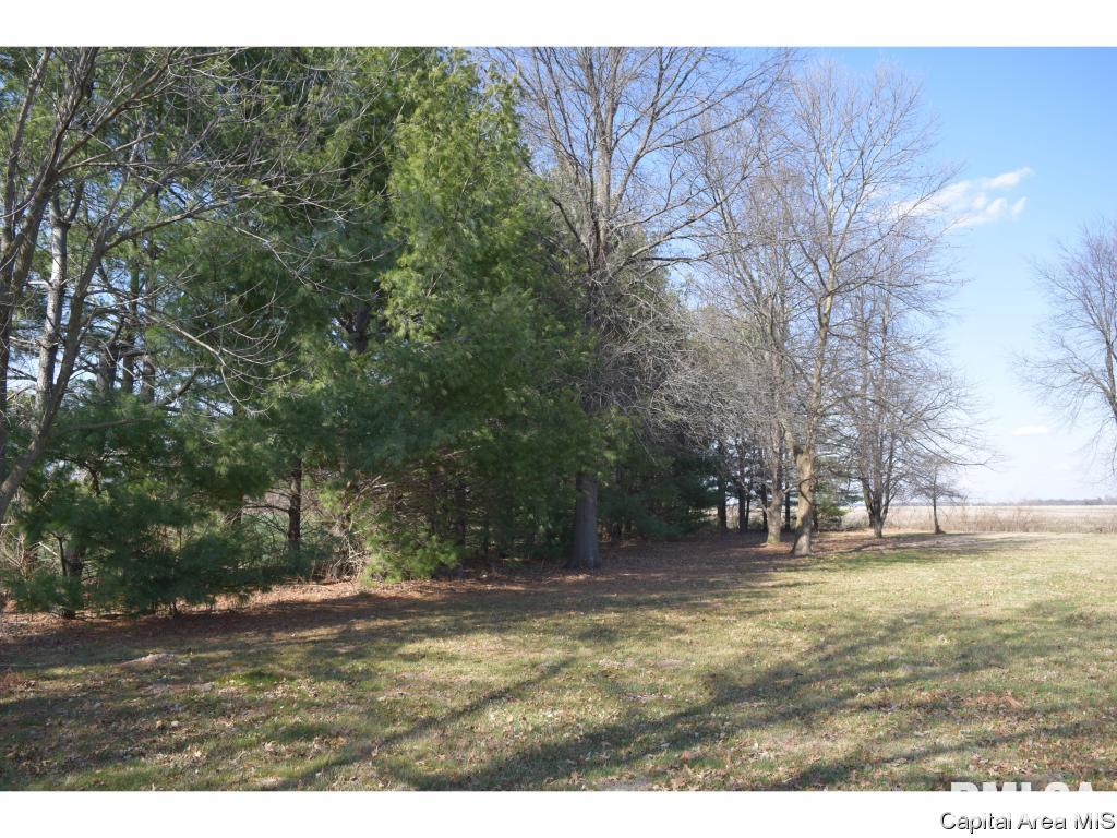 1908 Baldwin Road Jacksonville, IL 62650 - Photo 2 of 27