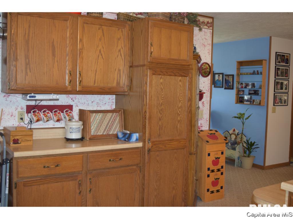 1908 Baldwin Road Jacksonville, IL 62650 - Photo 12 of 27