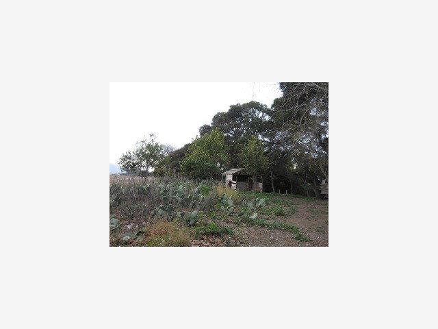 140 Encinal Road Salinas, CA 93908 - Photo 4 of 9 Gallery Image 4