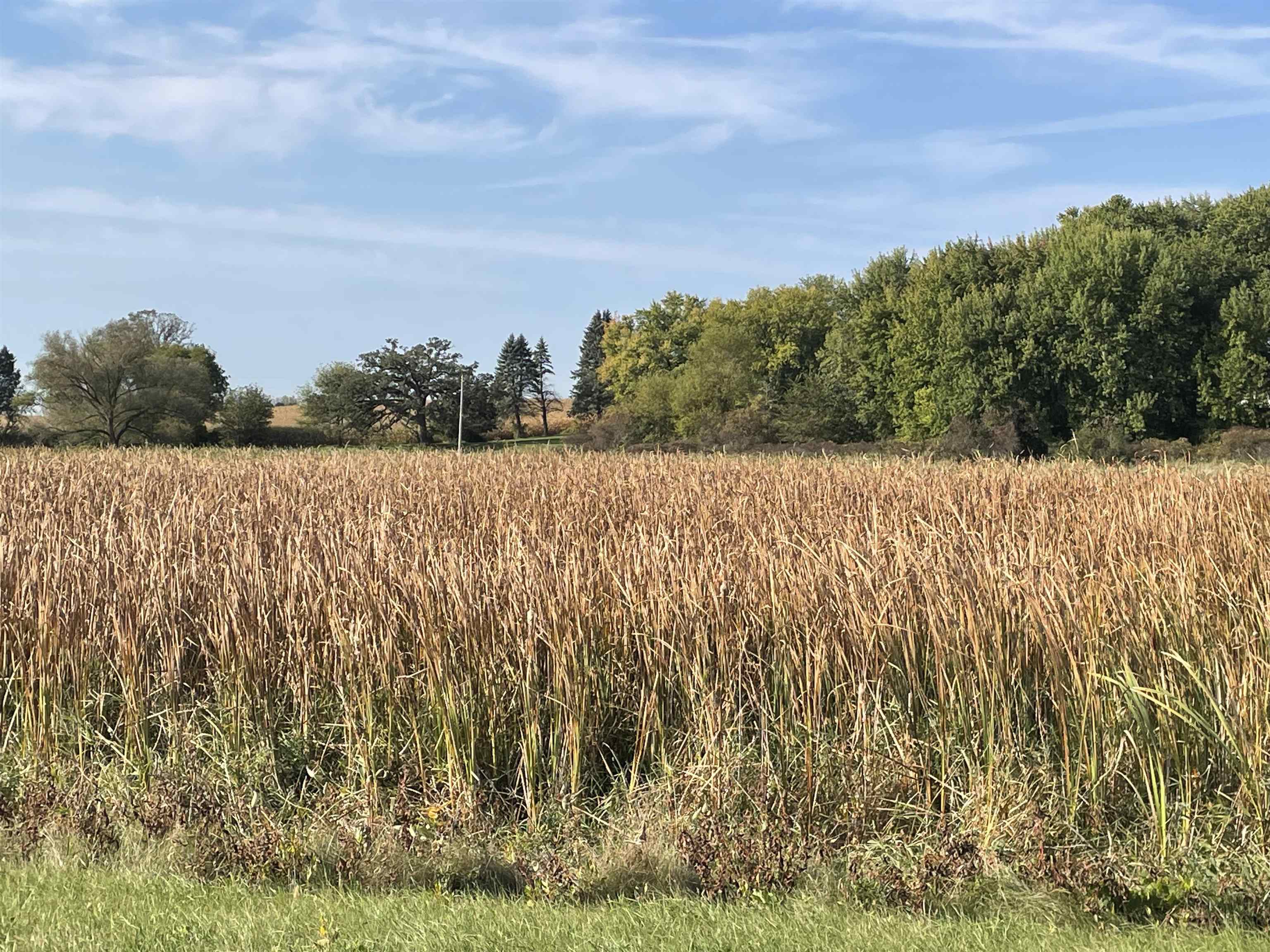 11.18 Hillcrest Road Juneau, WI 53039 - Photo 6 of 8