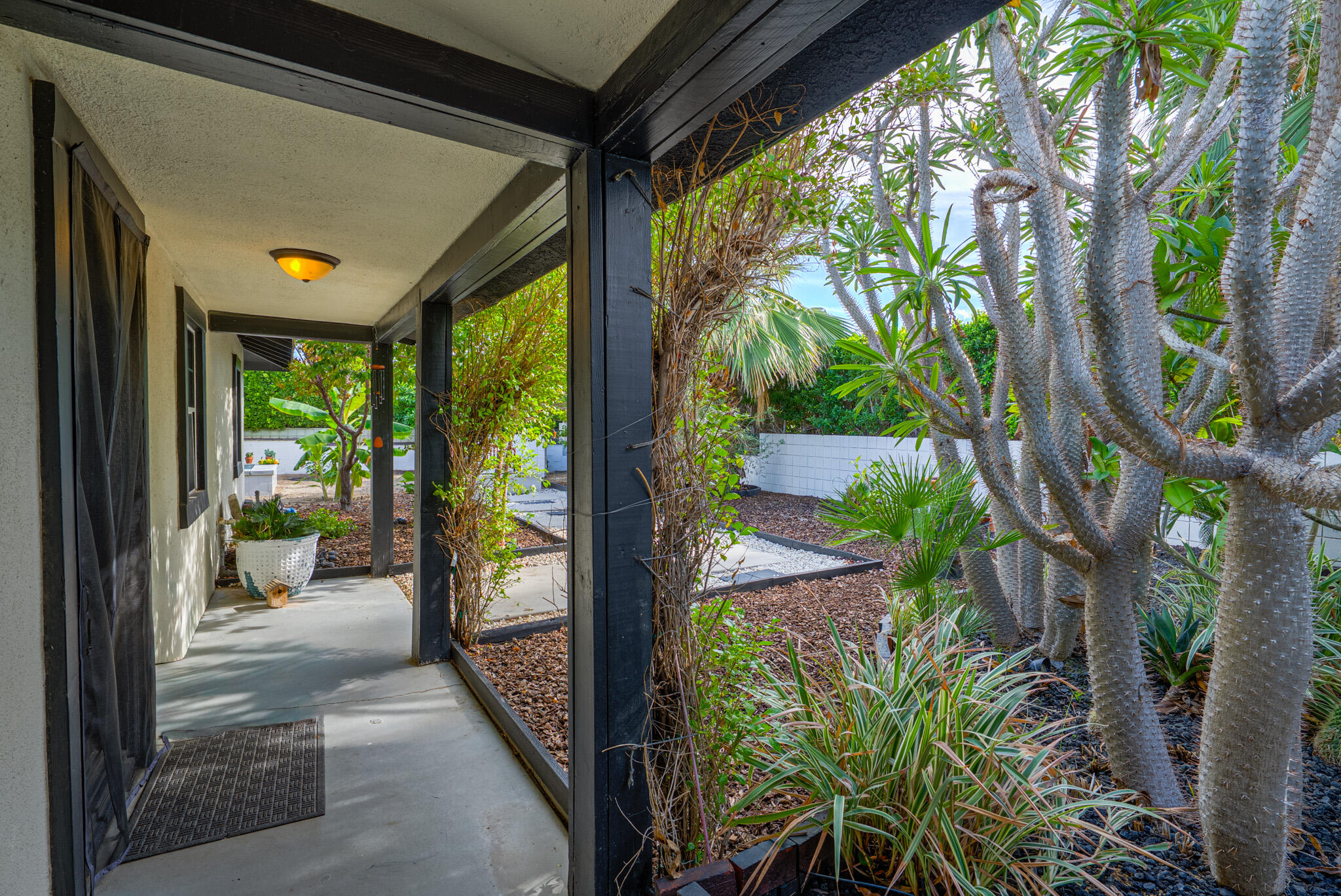 3882 East Sunny Dunes Road Palm Springs, CA 92264 - Photo 7 of 34 a view of a porch with potted plants and a large tree