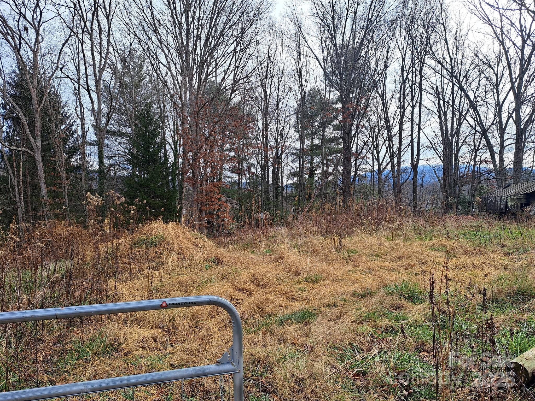 101 Knight Drive Clyde, NC 28721 - Photo 22 of 26 a view of backyard with green space