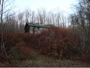 217 Beaver Lake Road Windsor, NY 13865 - Photo 2 of 8