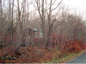 217 Beaver Lake Road Windsor, NY 13865 - Photo 3 of 8