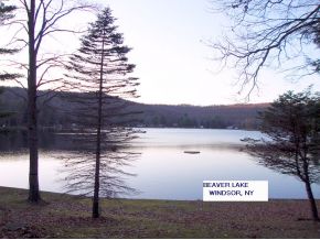 217 Beaver Lake Road Windsor, NY 13865 - Photo 5 of 8
