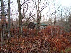 217 Beaver Lake Road Windsor, NY 13865 - Photo 6 of 8