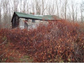 217 Beaver Lake Road Windsor, NY 13865 - Photo 8 of 8