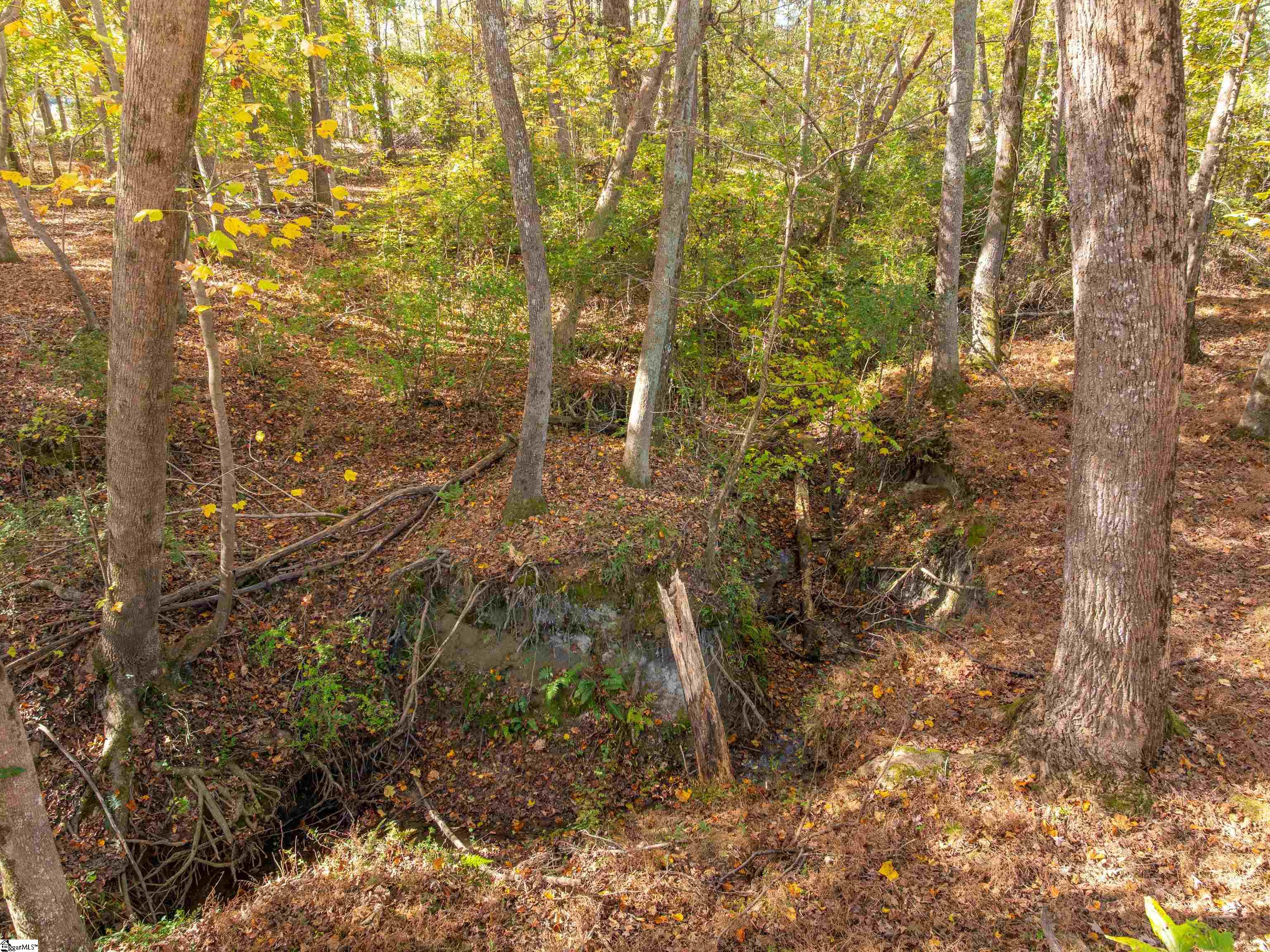 13 Taylor Road, Unit LOT 13 Honea Path, SC 29654 - Photo 43 of 50 Gallery Image 43