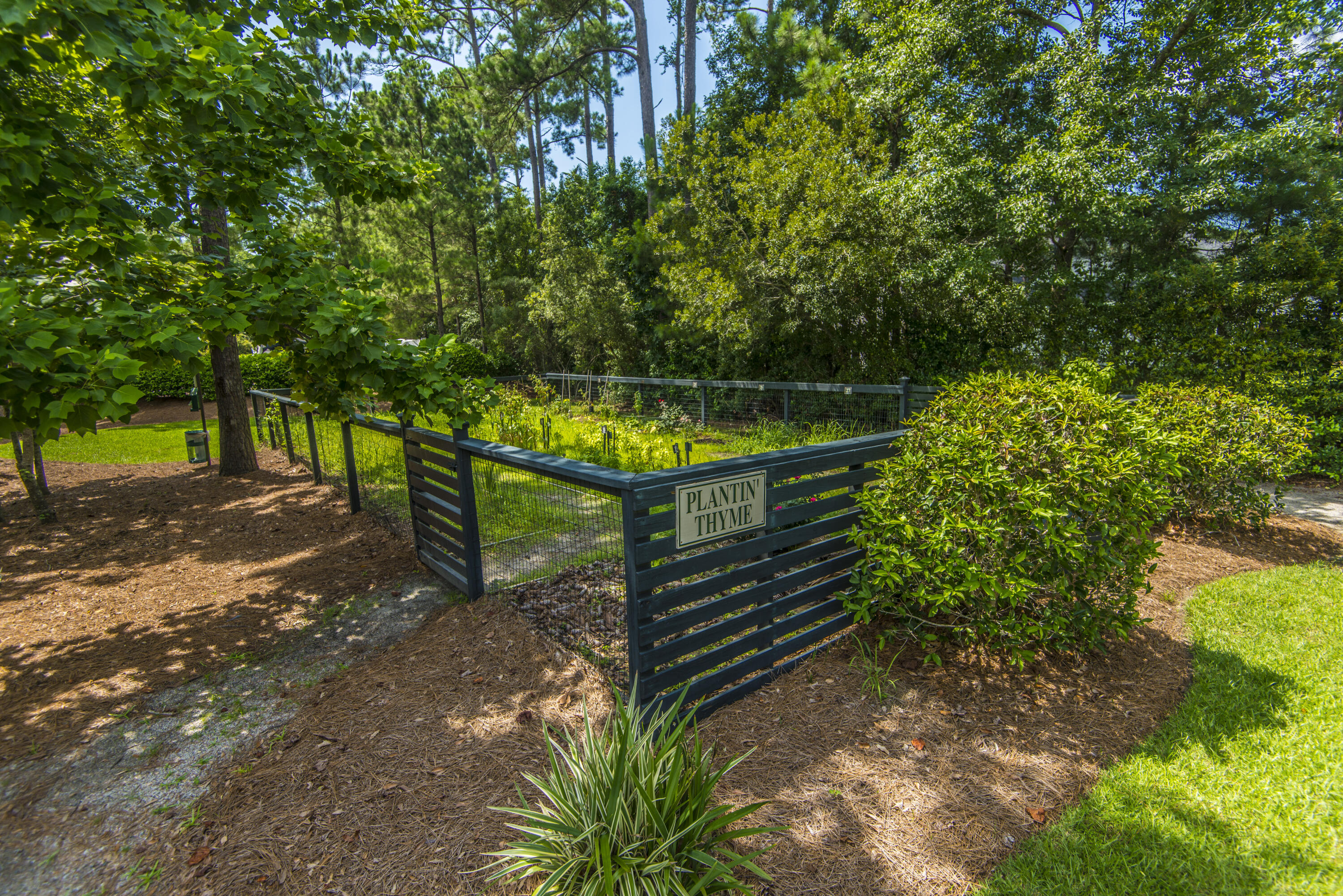 1117 Basildon Road Mount Pleasant, SC 29466 - Photo 33 of 38 _DSC1001