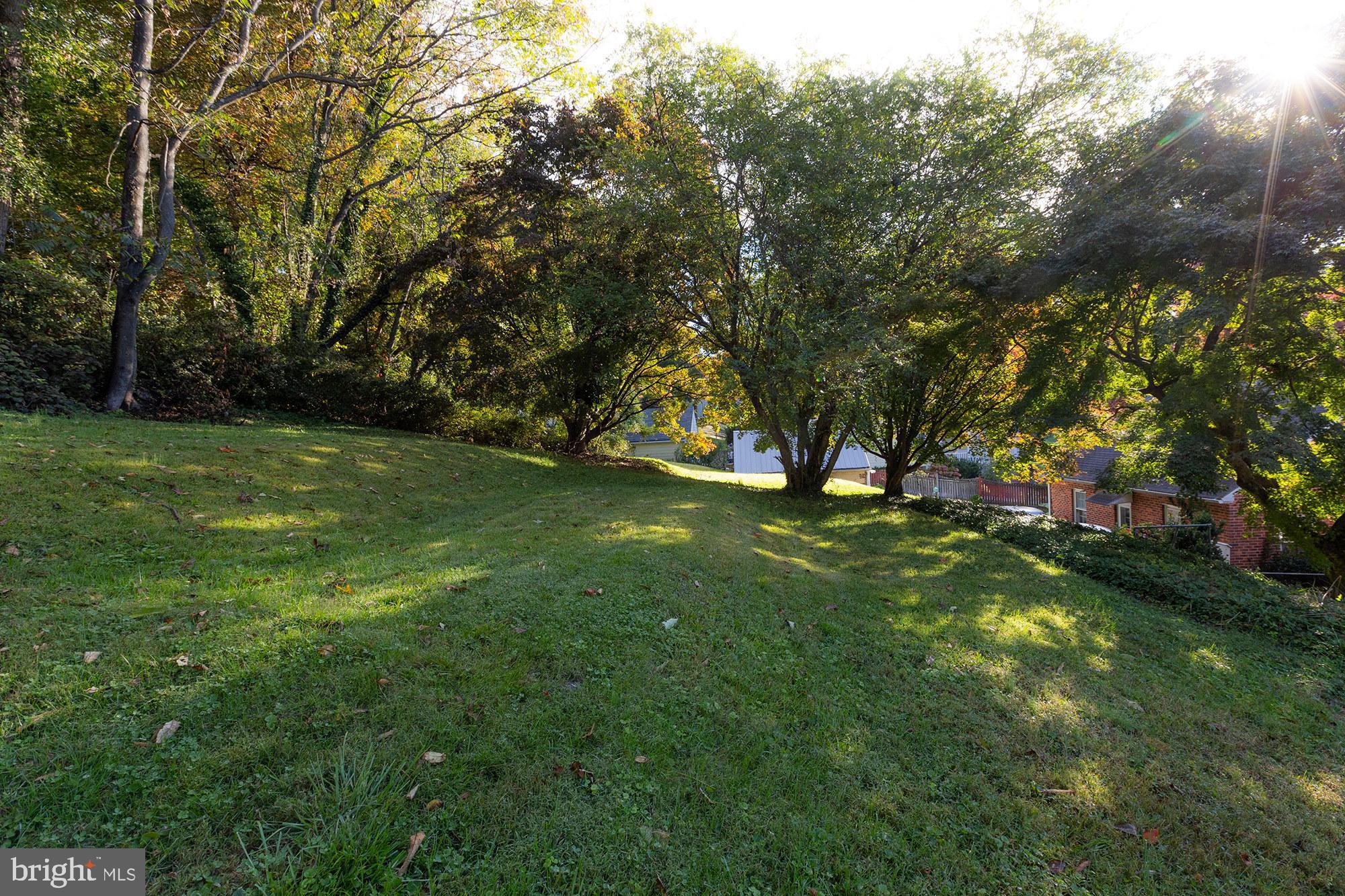 1424 West Joppa Road Towson, MD 21204 - Photo 29 of 30 Upper level flat yard