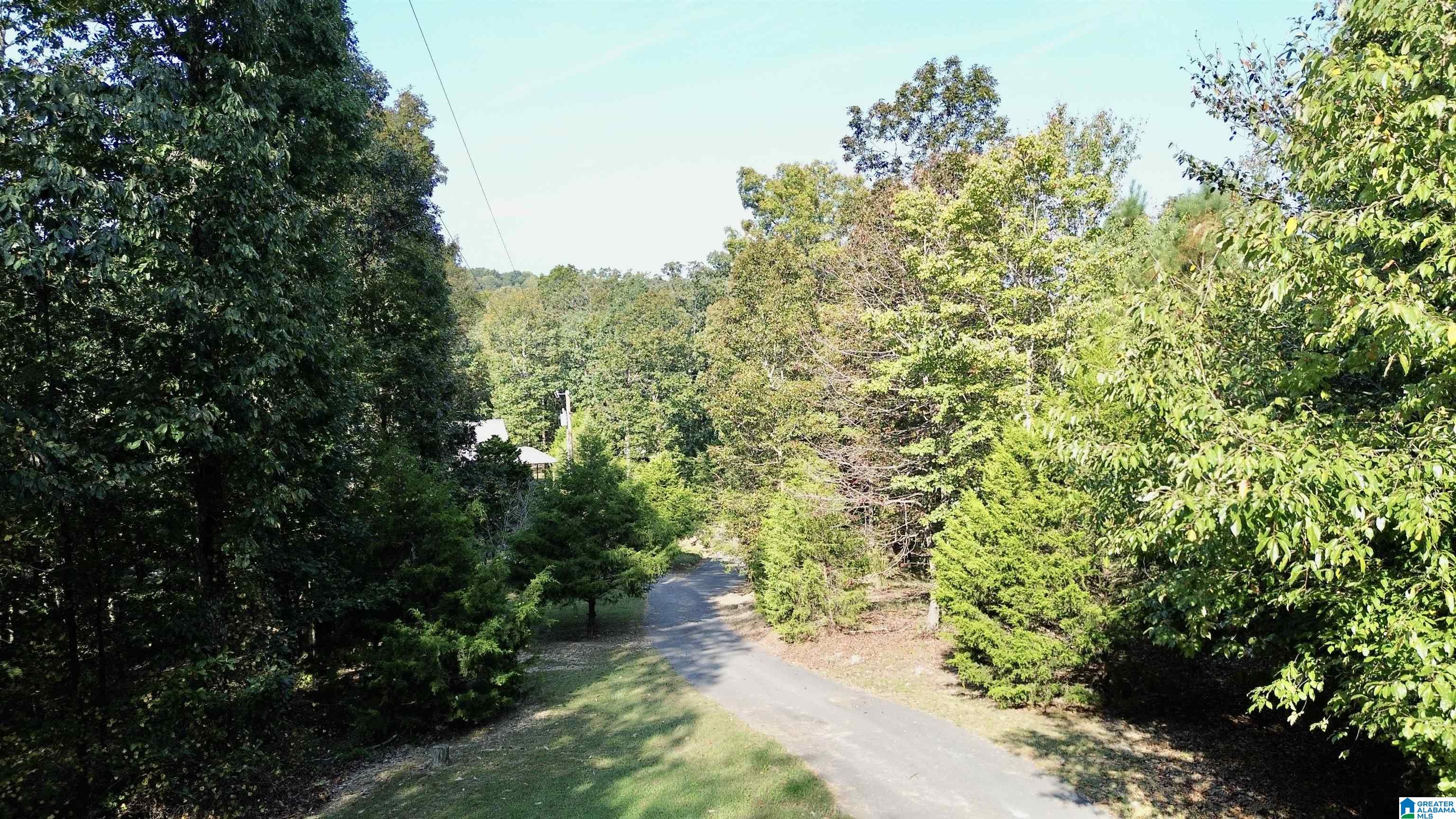 2055 Gum Pond Road Eva, AL 35621 - Photo 61 of 64