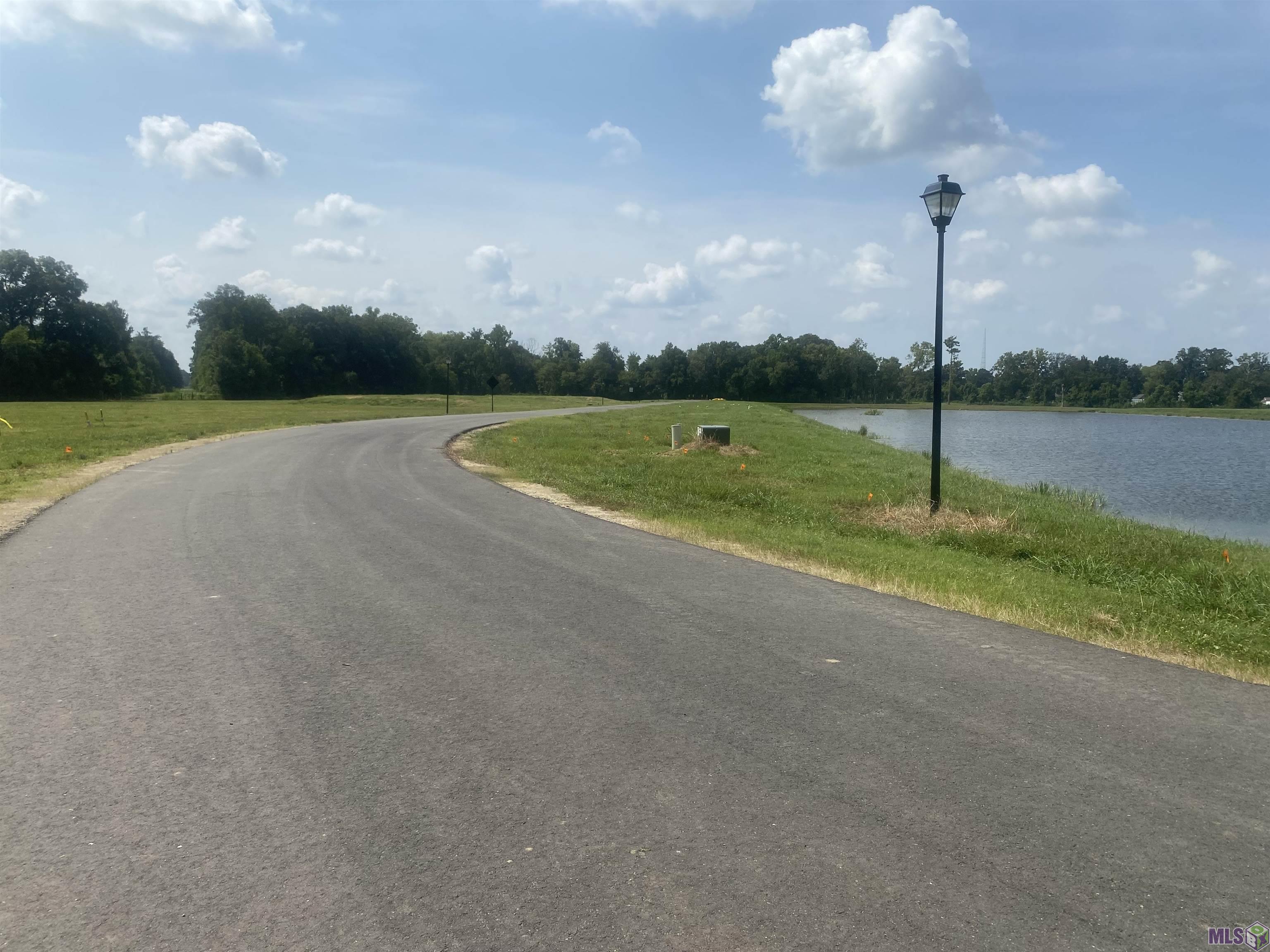 Lot 29 Buddy Gore Road Gonzales, LA 70737 - Photo 2 of 5