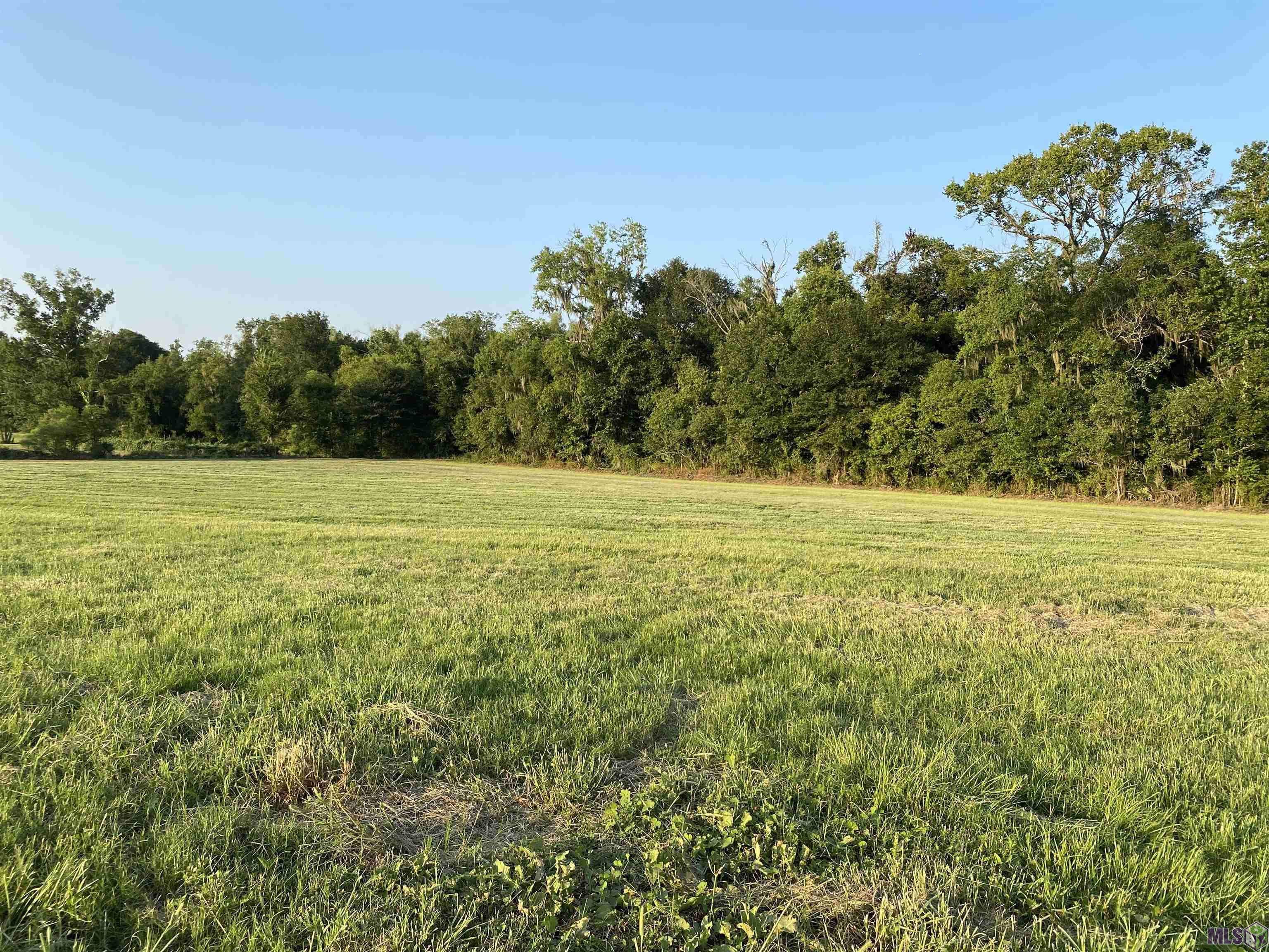 Lot 29 Buddy Gore Road Gonzales, LA 70737 - Photo 3 of 5