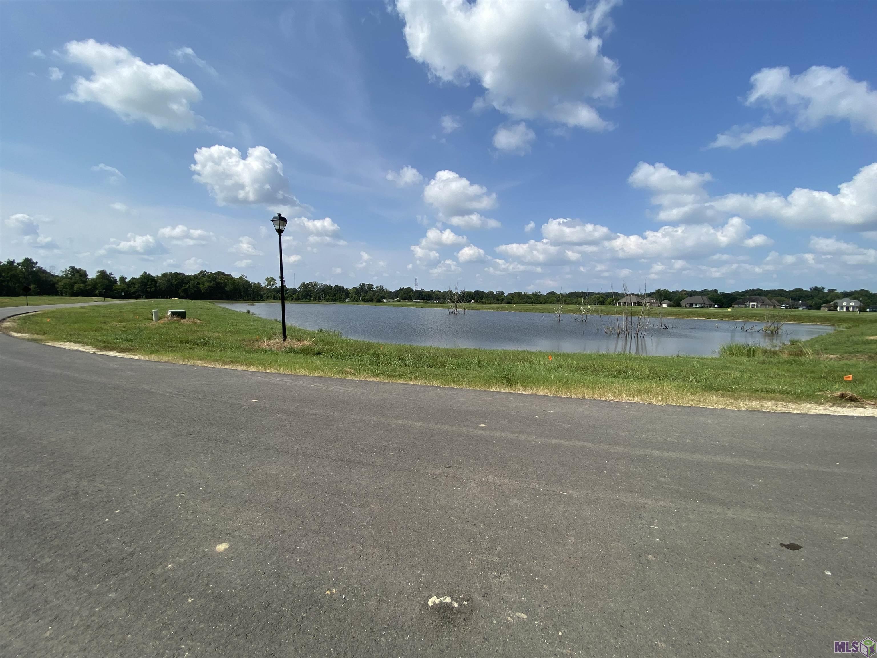 Lot 29 Buddy Gore Road Gonzales, LA 70737 - Photo 4 of 5
