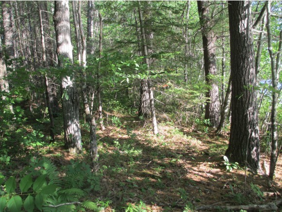 0 Spiked Ridge Drive Denmark, ME 04022 - Photo 4 of 17