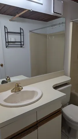 a bathroom with a sink and a toilet