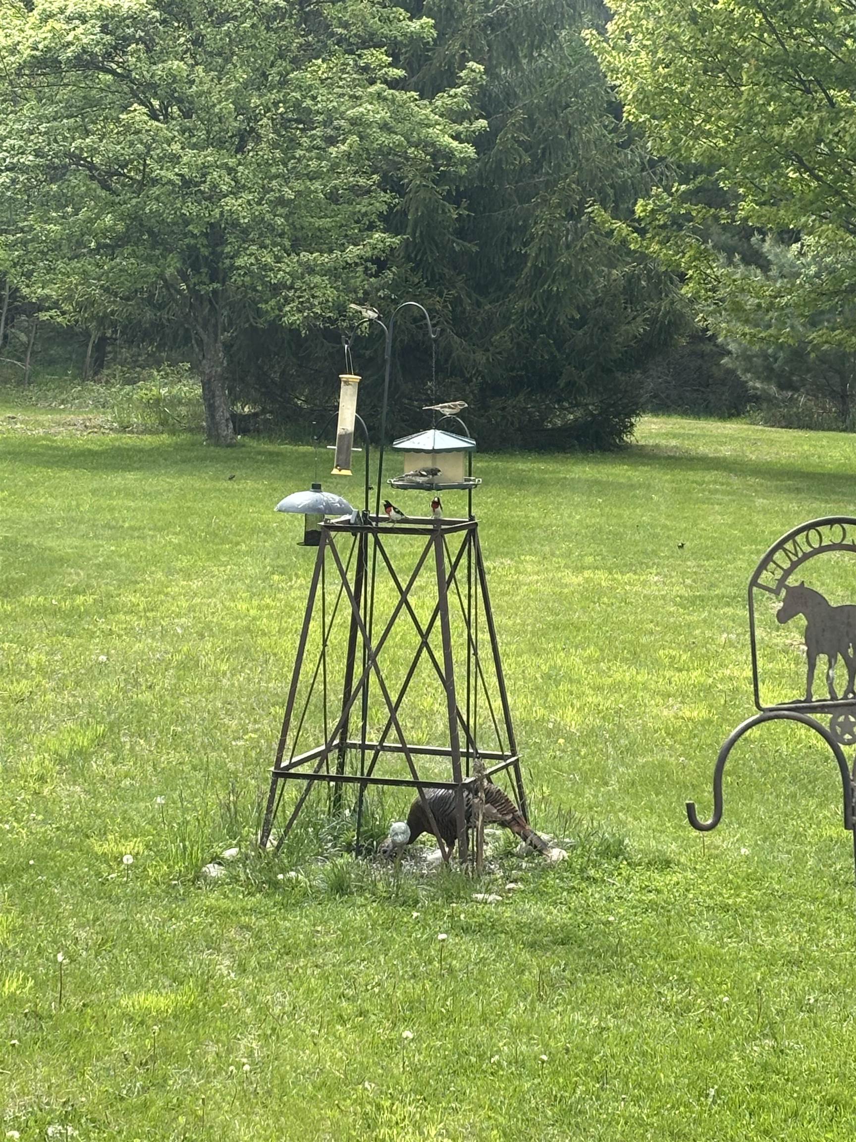 1137 Stoney Ridge Road West Branch, MI 48661 - Photo 45 of 55 1934353-be8a0775-87e8-4ee7-8749-cb4d410c4cd3.JPG