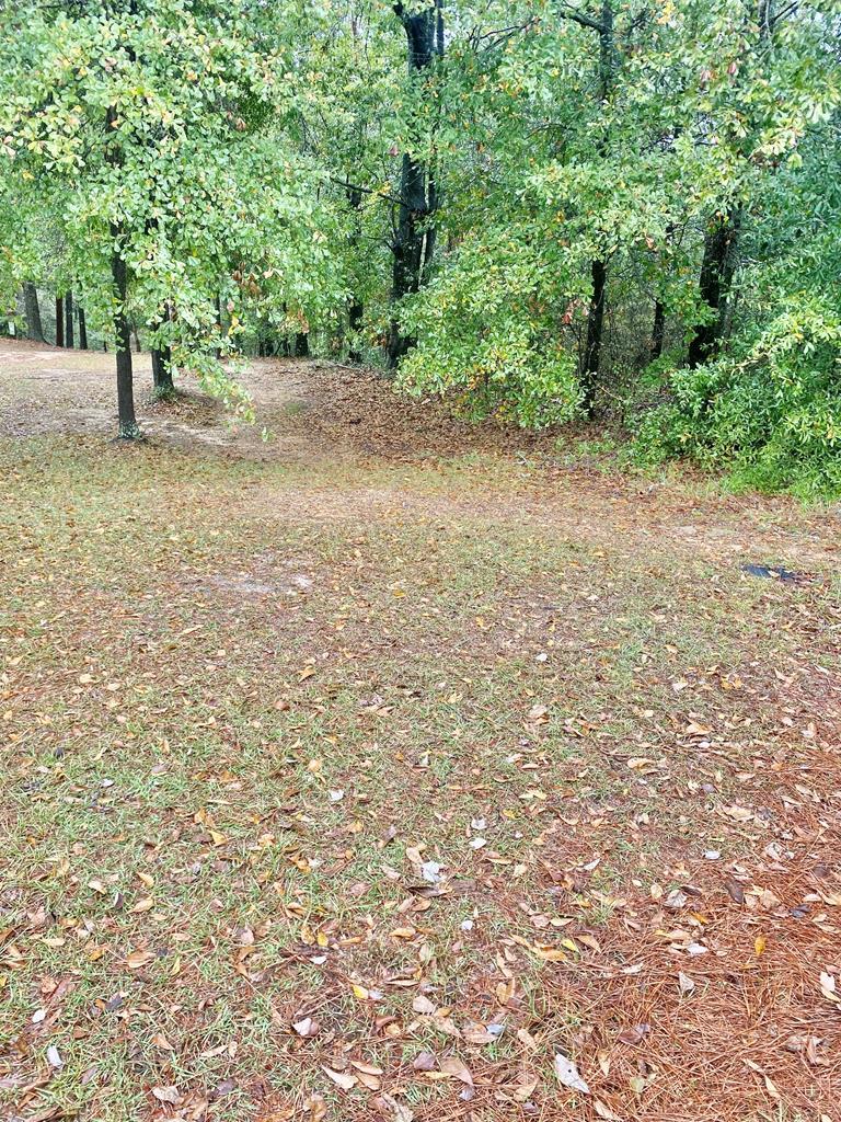 110 Riveredge Court Headland, AL 36345 - Photo 2 of 8