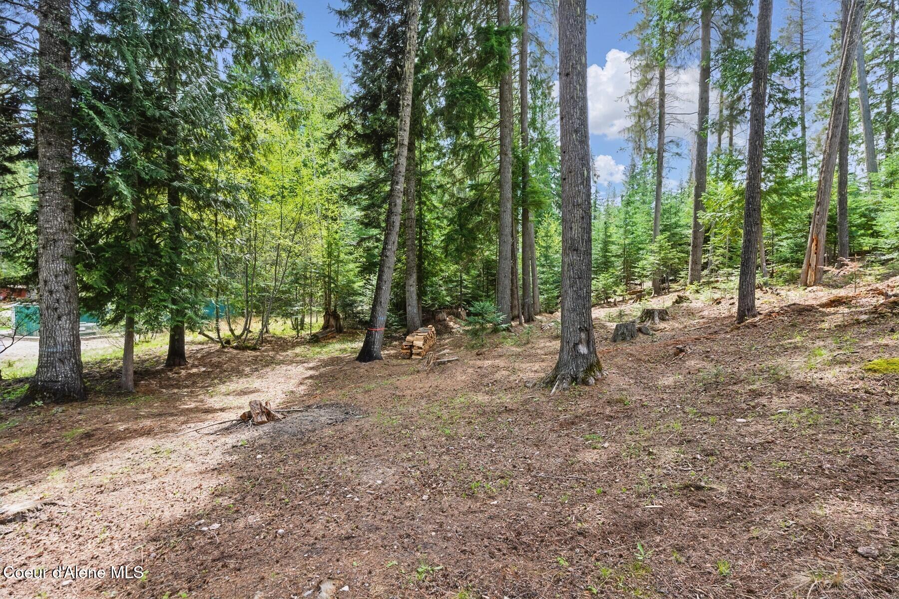 Nna Bruin Road Nordman, ID 83848 - Photo 2 of 11 85755264