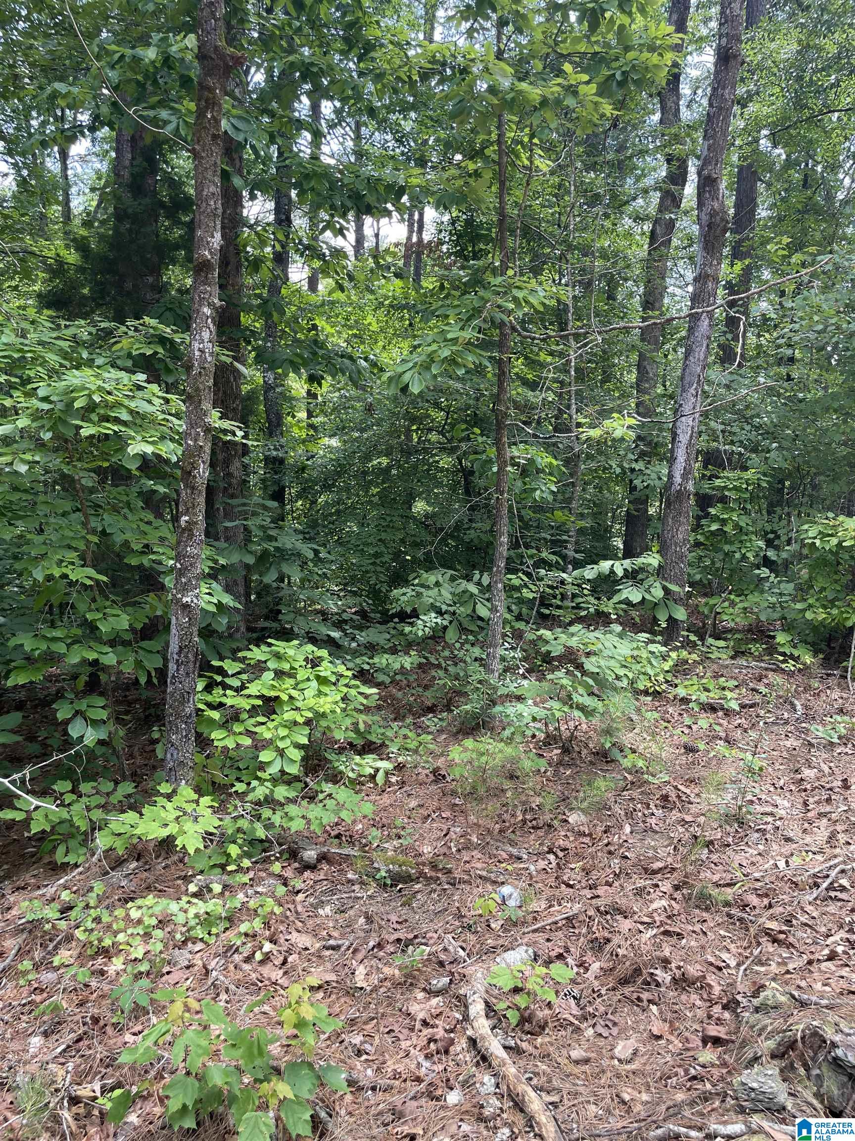 0 Mitchell Drive, Unit 3 Vance, AL 35490 - Photo 2 of 3
