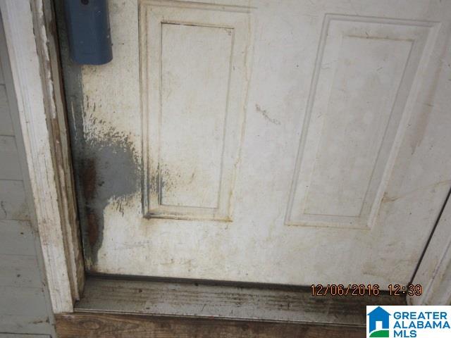 205 Wolf Pen Ridge Road Pell City, AL 35128 - Photo 19 of 50