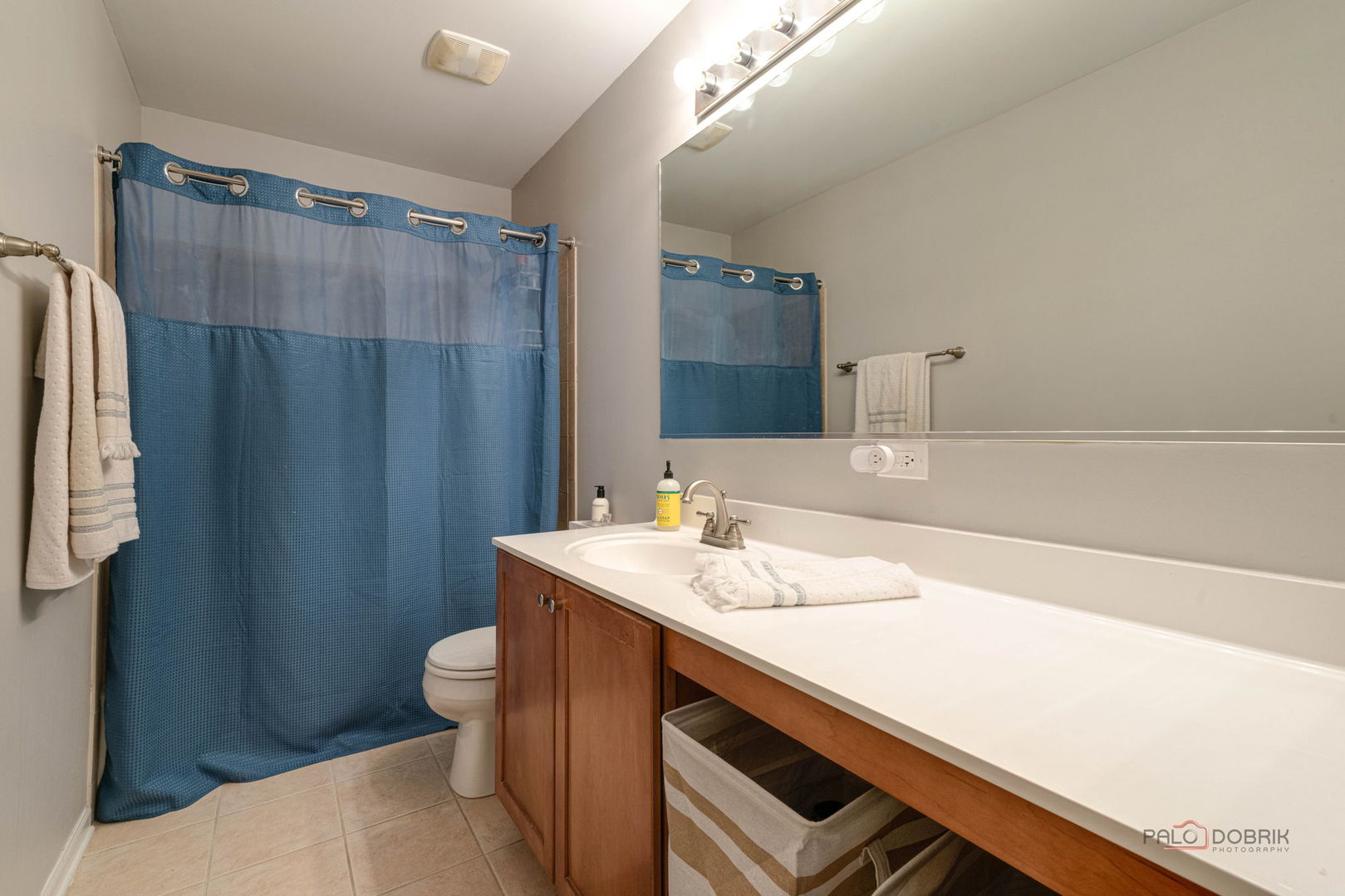 683 Niagara Drive Volo, IL 60073 - Photo 15 of 25 a bathroom with a sink a toilet a mirror and vanity