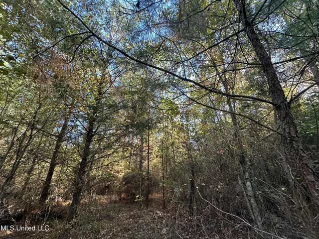 $199,950 | 1070 Pearson Road, Stewart, MS 39767