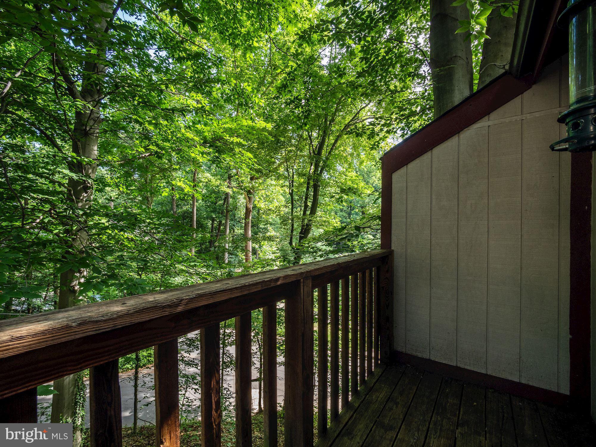 201 Hilltop Road Silver Spring, MD 20910 - Photo 56 of 62