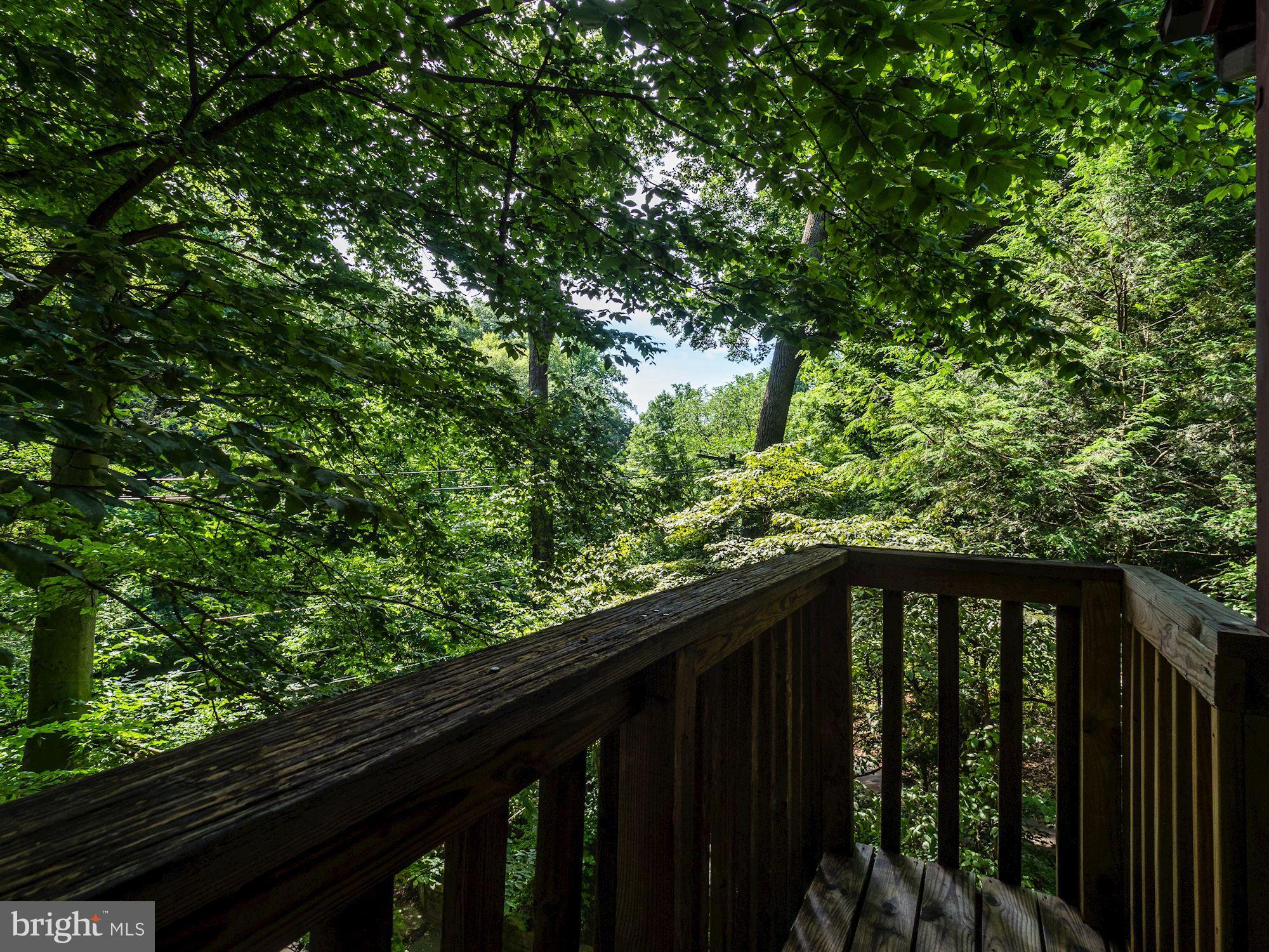 201 Hilltop Road Silver Spring, MD 20910 - Photo 57 of 62