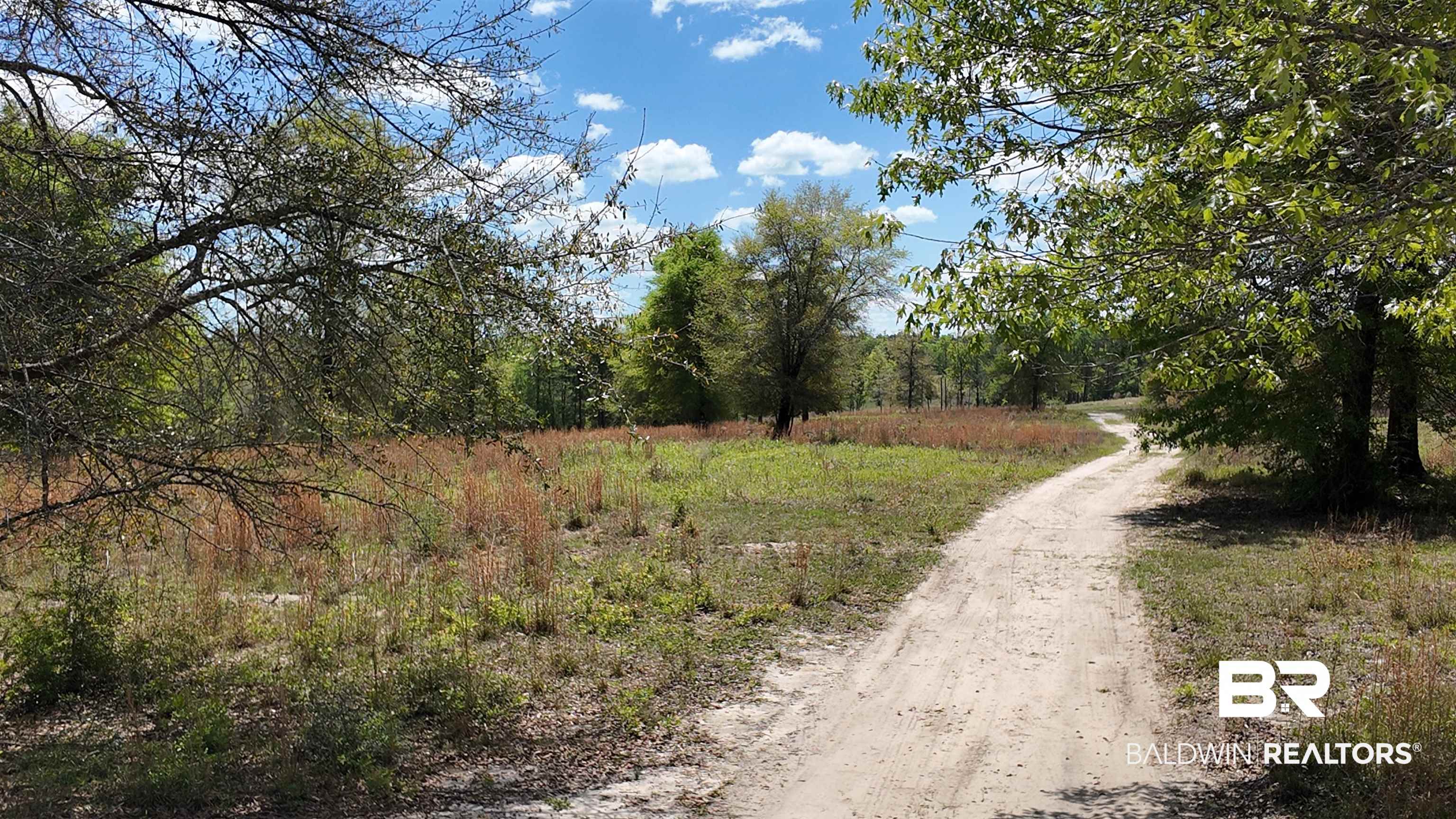 0 Powell Road Eight Mile, AL 36613 - Photo 30 of 57