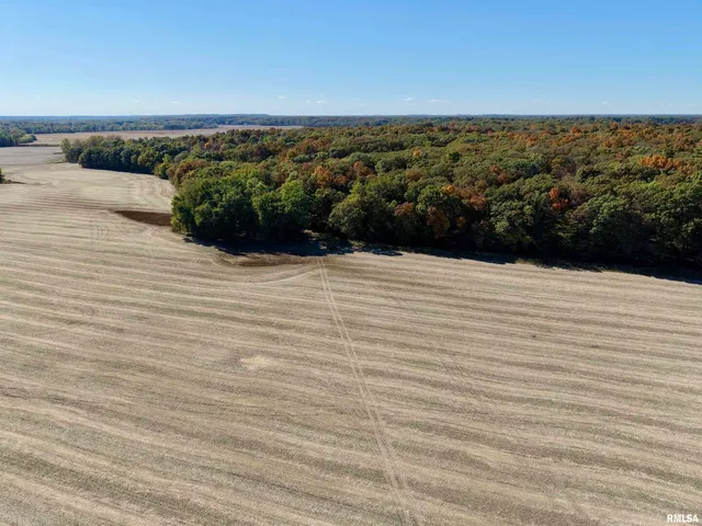 $650,000 | 0 3100 East Avenue, Cowden, IL 62422