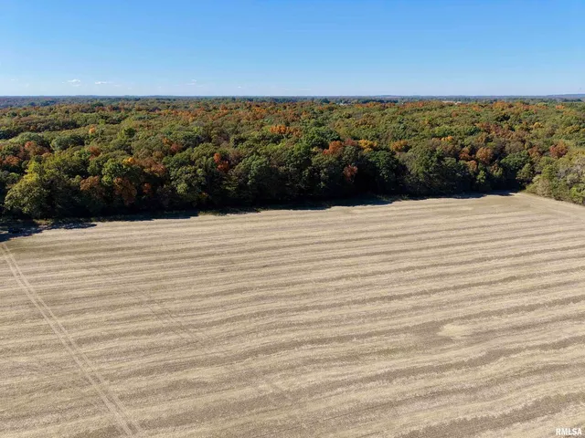 $650,000 | 0 3100 East Avenue, Cowden, IL 62422