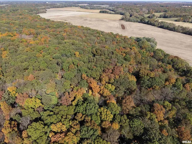 $650,000 | 0 3100 East Avenue, Cowden, IL 62422