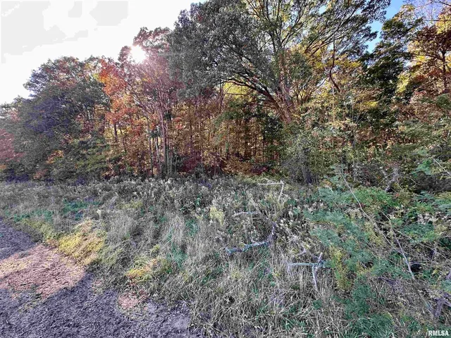 a view of bushes and trees