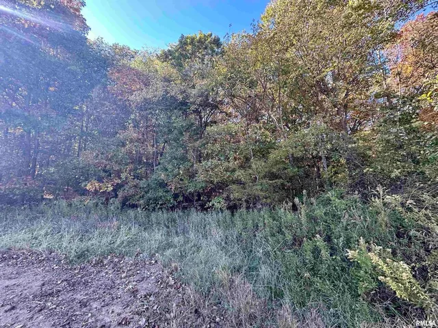 $650,000 | 0 3100 East Avenue, Cowden, IL 62422